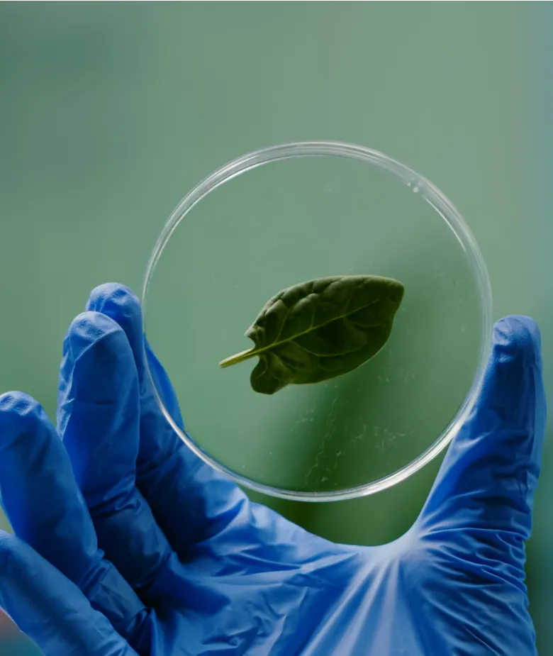 environmental responsibility